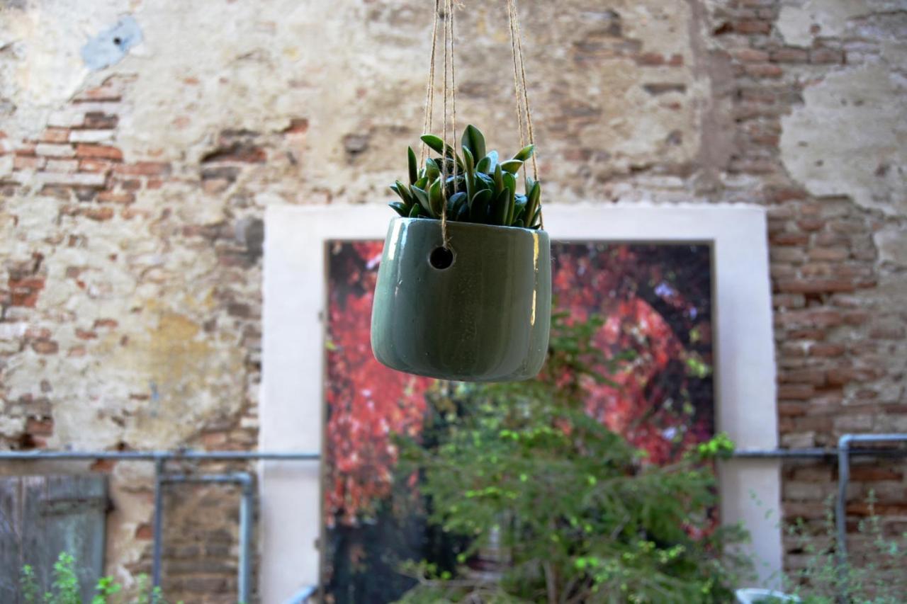 Apartment Chez Anna *